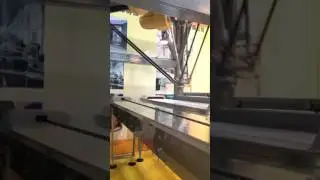 Роботы недорого: Горизонтальная упаковочная машина с укладкой роботом