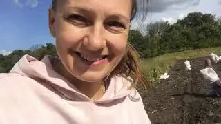 МЫ В ШОКЕ!!! От цен на картофель! Урожай собрали.