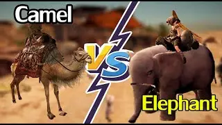 Gold elephant vs Camel - Great desert racing - Black Desert Mobile