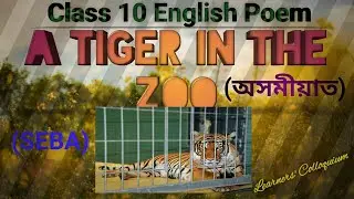 A Tiger in The Zoo#Class 10 English  Poem #Explanation in Assamese