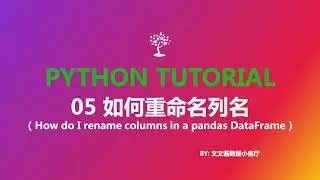 05 how do I rename columns in a pandas dataframe
