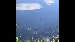 Активный отдых для здоровья