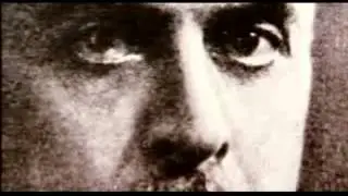 Кровеносная система
