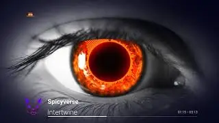 Spicyverse - Intertwine
