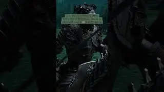 Knights of The Black Rose Lore