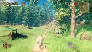 How to hunt a deer properly
