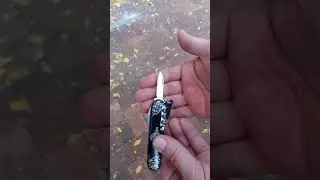 2022 Limited edition Elephant Victorinox Knife! A spartan with some style.