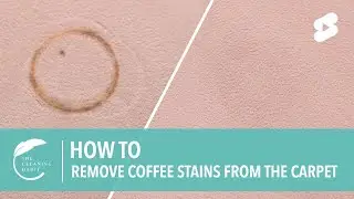 How to Remove Coffee Stains from Carpet | How to Clean Carpet Coffee Stains #shorts