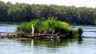 Природа на плавбазе "Шибуми"