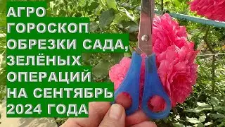 Агрогороскоп обрезки сада зеленых операций на сентябрь 2024 Agro Horoscope of Green Operations for S