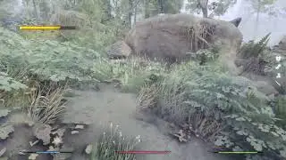 2023 SKYRIM SE Parallax 4K Photorealistic Forests with RayTracing 5