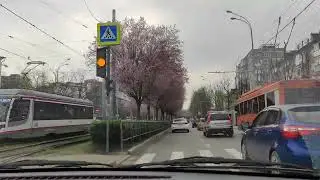Весна в Краснодаре. ул. Ставропольская, трамвайная линия.