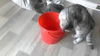 Ах ты хулиган!!! Я только полы помыла!!!