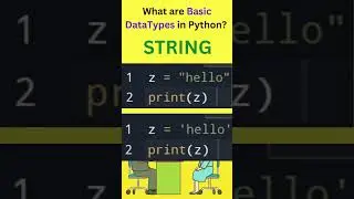 What are basic datatypes in Python | Most Asked Interview Question | Learn Python Python datatypes