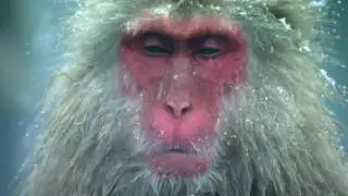 Моя Планета "Целая Вселенная на Одном Канале" Промо канала