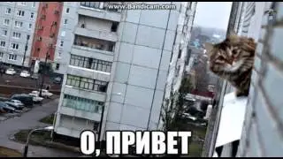 Пиар Каналов совсем бесплатно!!