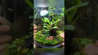 Apex Predator Ecosystem!🦂