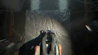 SOMA