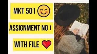MKT 501 Assignment #1 SOlution with file❤