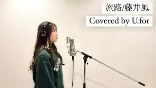旅路/藤井風　U.forカバー動画Vol.136