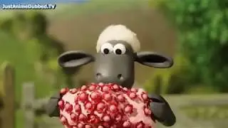 Sٍhaun the Sheep olympics episode 1