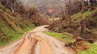 A Commute like THIS ?? ------  Driveway to the Highway