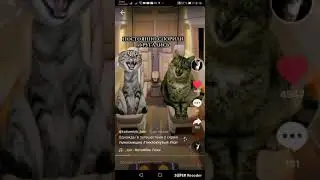 Однажды в путешествие 1-2-3-4 жду ещё 😍
