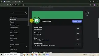 How To Access A Deleted Discord Server