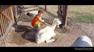 ZOO FajnPark. Chlumec nad Cidlinou. Česká republika. 05.07.2023 #zoo #fajnpark #cz