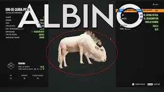 MEUS PRIMEIROS PELES RARAS NO THE HUNTER CALL OF THE WILD