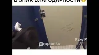 Дал какашку знак благодарности