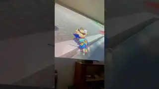 random mario kart moment