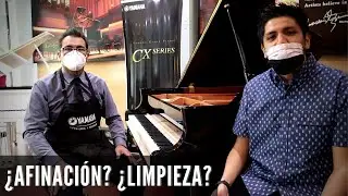 Mantenimiento de pianos con uno de los mejores técnicos en México: Alejandro Cubillo