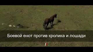 Боевой кролик против енота. Неуязвимая лошадь.