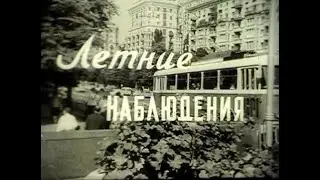 Летние наблюдения