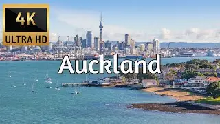 🇳🇿 AUCKLAND, NEW ZEALAND [4K] Drone Tour - Best Drone Compilation - Trips On Couch