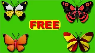 🦋 Colorful Butterfly Animation Green Screen | Free VFX Background | 4K Ultra HD