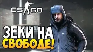 СПАСАЕМ ЗЕКОВ - CS:GO