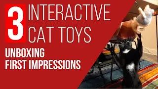 3 Interactive Cat Toys Unboxing and First Impressions | #diy #cats