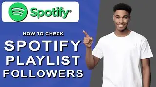How to check spotify playlist followers (2024)