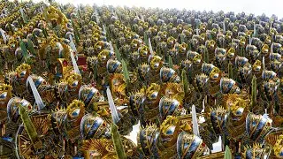 IRONFEATHERS - Dwarfs vs High Elves - Total War WARHAMMER 2 Cinematic Battle