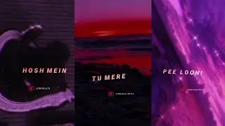 Pee loon (slowed+reverb) | Pee loon whatsapp status  | Aesthetic Video