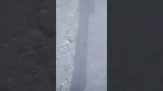 школа дно.
