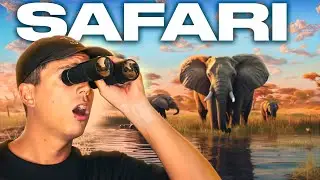 SAFARI IN SUDAFRICA 🇿🇦 LA MIA AVVENTURA nel Madikwe Game Reserve 🦏