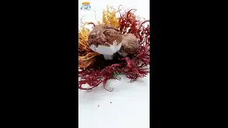 🍁Осенние поделки из бумаги и природного материала