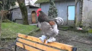 жизнь-ты прекрасна