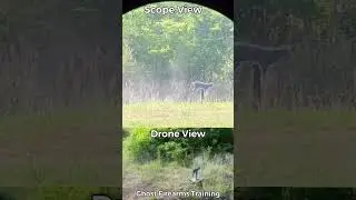 Long Range Hunter Moving Targets #longrangeshooting #hunter #hunting #hunterxhunter