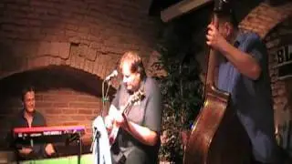 *HANNES KASEHS BAND* Vogelkeller - track 08