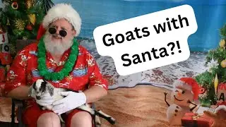 The WNY Party Goats meeting Santa!