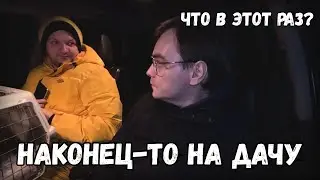 Новая поездка на дачу с Мусей: смешные приключения и неожиданные трудности!
